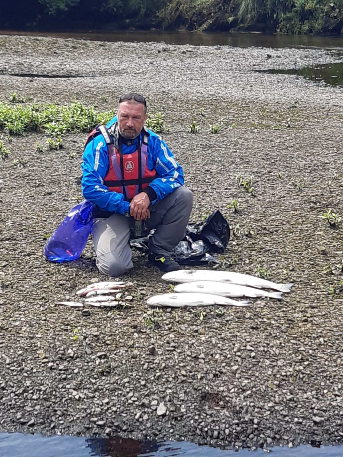 John Twomey IFI with fish kill samples